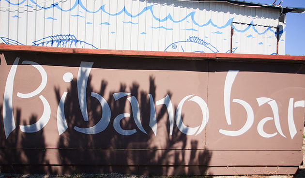 Odbojkaški turnir i pjena party u Bibnjama, foto: Leo Banić