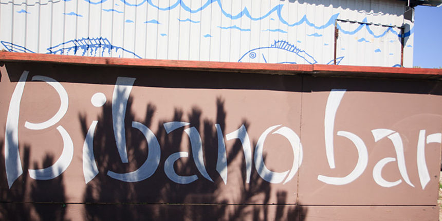 Odbojkaški turnir i pjena party u Bibnjama, foto: Leo Banić Odbojkaški turnir i pjena party u Bibnjama, foto: Leo Banić