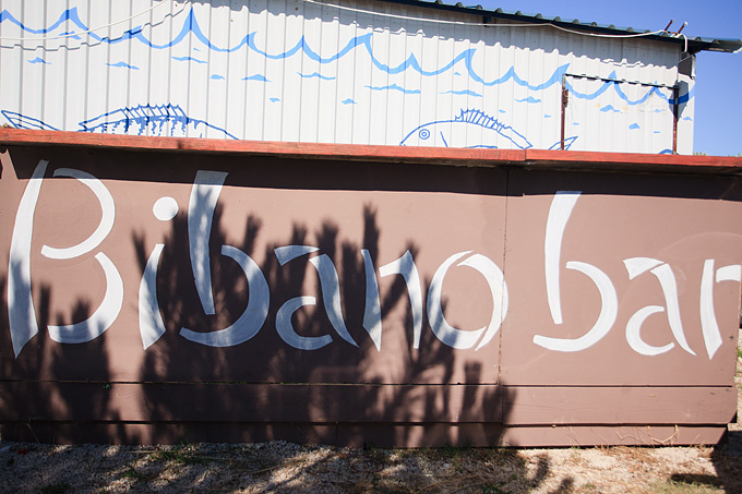 Odbojkaški turnir i pjena party u Bibnjama, foto: Leo Banić