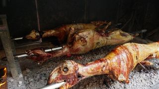 Fešta Sv. Petra u Poljani, foto: Tomislav Ivanov