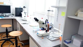 Strani studenti na združenom studiju Biotehnologija mora Strani studenti na združenom studiju Biotehnologija mora