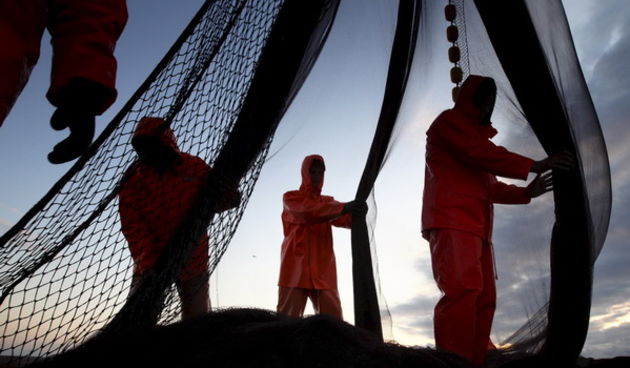 Zadar, 211009.
Brod Bruno tvrtke Dalmacija ribolov iz Zadra dva je dana lovio srdele  u akvatoriju Losinja i Dugog otoka.
Na fotografiji: ribari slazu mrezu nakon ulova.
Foto: Vladimir Ivanov / CROPIX