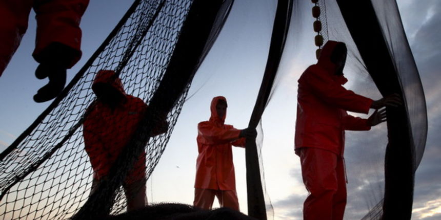Zadar, 211009.
Brod Bruno tvrtke Dalmacija ribolov iz Zadra dva je dana lovio srdele u akvatoriju Losinja i Dugog otoka.
Na fotografiji: ribari slazu mrezu nakon ulova.
Foto: Vladimir Ivanov / CROPIX Zadar, 211009.
Brod Bruno tvrtke Dalmacija ribolov iz Zadra dva je dana lovio srdele u akvatoriju Losinja i Dugog otoka.
Na fotografiji: ribari slazu mrezu nakon ulova.
Foto: Vladimir Ivanov / CROPIX