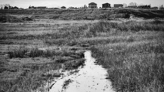 Crno bijela bajka na Kraljičinoj plaži, foto: Iva Perinčić