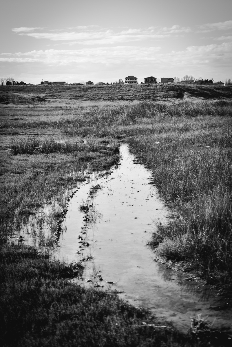 Crno bijela bajka na Kraljičinoj plaži, foto: Iva Perinčić