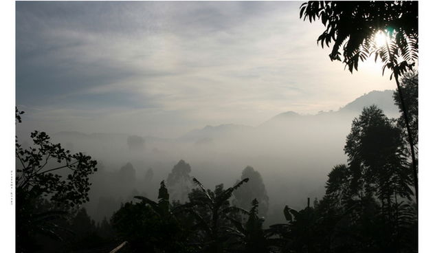 Hrvoje Ivancic: Africke price