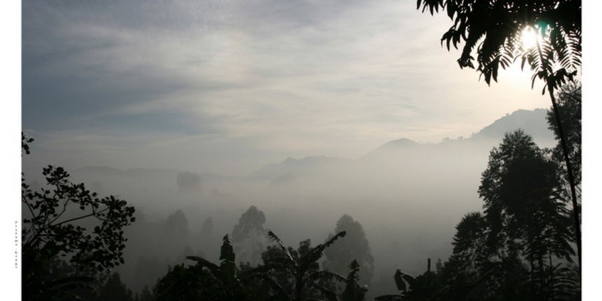 Hrvoje Ivancic: Africke price