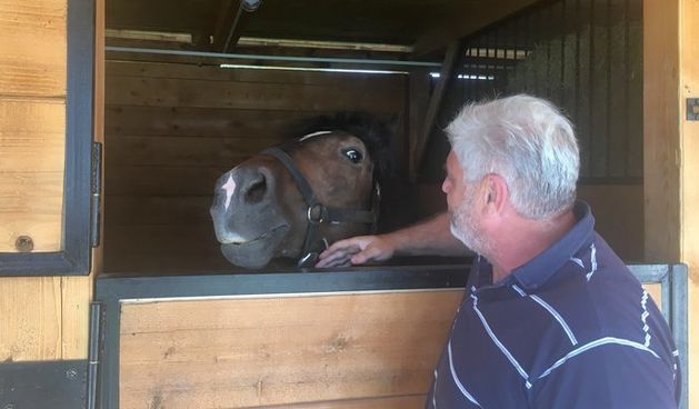 U službi turizma konji opet u Kruševu