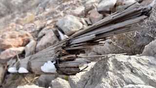 Karlobag: Srušeni stupovi niskonaponske mreže, Foto: Dino Stanin/PIXSELL Karlobag: Srušeni stupovi niskonaponske mreže, Foto: Dino Stanin/PIXSELL