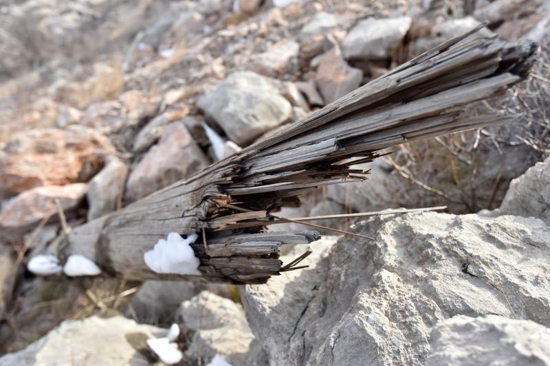 Karlobag: Srušeni stupovi niskonaponske mreže, Foto: Dino Stanin/PIXSELL Karlobag: Srušeni stupovi niskonaponske mreže, Foto: Dino Stanin/PIXSELL