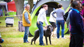 16. Međunarodna izložba pasa CACIB Zadar – Prvak prvaka 2016. 16. Međunarodna izložba pasa CACIB Zadar – Prvak prvaka 2016.
