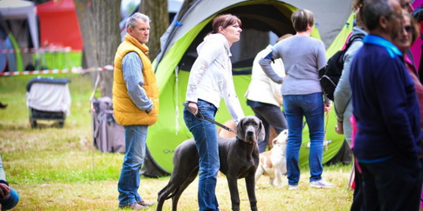 16. Međunarodna izložba pasa CACIB Zadar – Prvak prvaka 2016. 16. Međunarodna izložba pasa CACIB Zadar – Prvak prvaka 2016.