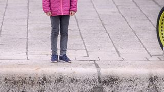 Labudovi pored mosta uveseljavaju Zadrane Labudovi pored mosta uveseljavaju Zadrane