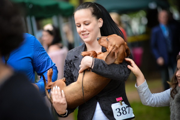 16. Međunarodna izložba pasa CACIB Zadar – Prvak prvaka 2016. 16. Međunarodna izložba pasa CACIB Zadar – Prvak prvaka 2016.