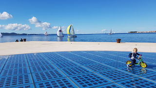 Zadarska Koka 2016. 22. listopada 2016. Foto: Mladen Malik Zadarska Koka 2016. 22. listopada 2016. Foto: Mladen Malik