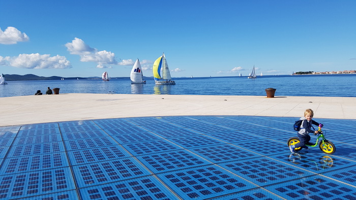 Zadarska Koka 2016. 22. listopada 2016. Foto: Mladen Malik Zadarska Koka 2016. 22. listopada 2016. Foto: Mladen Malik