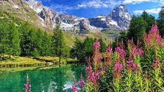 Aleksandar Gospic: Kipreji (Ljetna anticiklona u visokim zapadnim Alpama) Aleksandar Gospic: Kipreji (Ljetna anticiklona u visokim zapadnim Alpama)