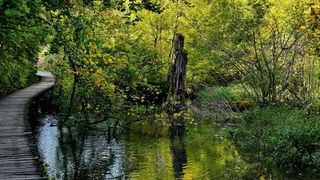 NP Plitvička jezera, listopad 2021.