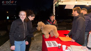 Humanitarni svjetlosni spektakl “Zaželi ljubav” na zadarskom Forumu, 18. veljače 2017. Humanitarni svjetlosni spektakl “Zaželi ljubav” na zadarskom Forumu, 18. veljače 2017.