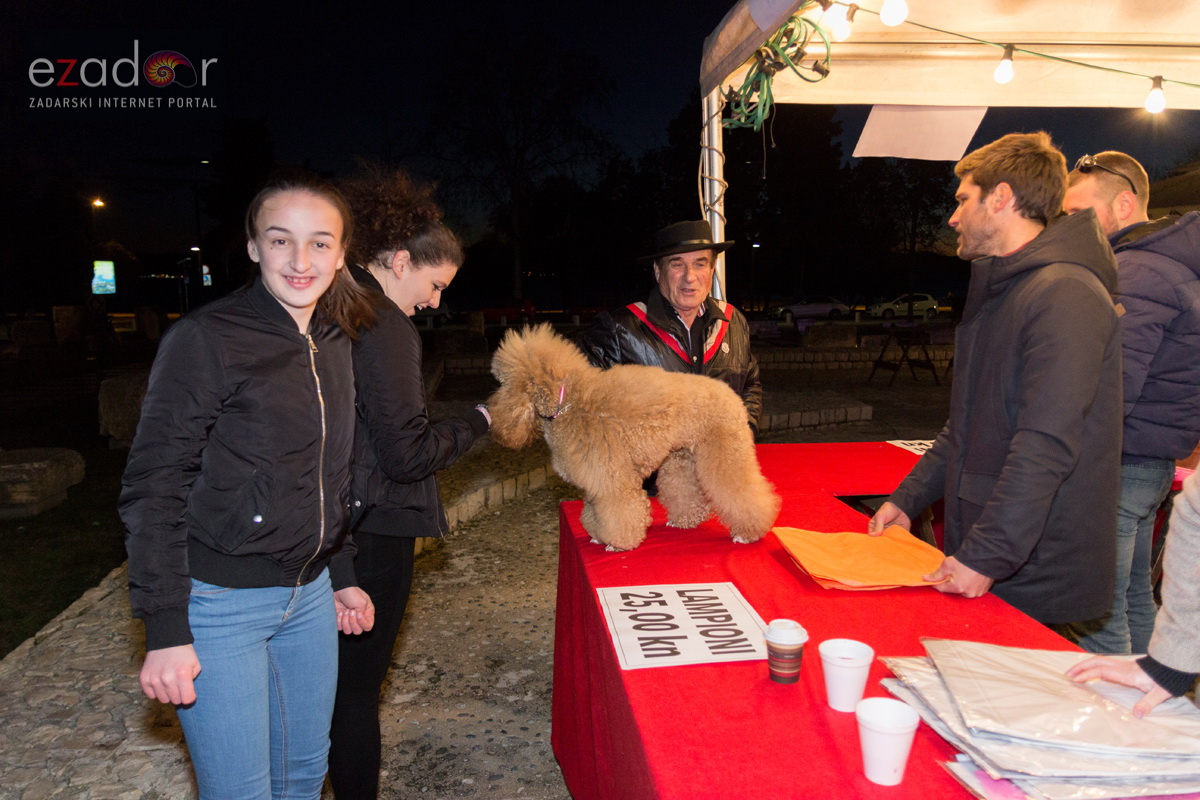 Humanitarni svjetlosni spektakl “Zaželi ljubav” na zadarskom Forumu, 18. veljače 2017. Humanitarni svjetlosni spektakl “Zaželi ljubav” na zadarskom Forumu, 18. veljače 2017.