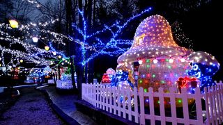 Uz 2,5 milijuna lampica zasjala ovogodišnja božićna bajka u Salajlandu Uz 2,5 milijuna lampica zasjala ovogodišnja božićna bajka u Salajlandu