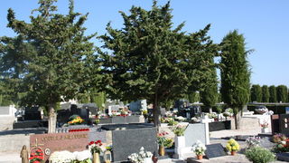 Blagdan Svih Svetih na groblju Belafuža 1. studenog 2011, Foto: Mladen Malik Blagdan Svih Svetih na groblju Belafuža 1. studenog 2011, Foto: Mladen Malik