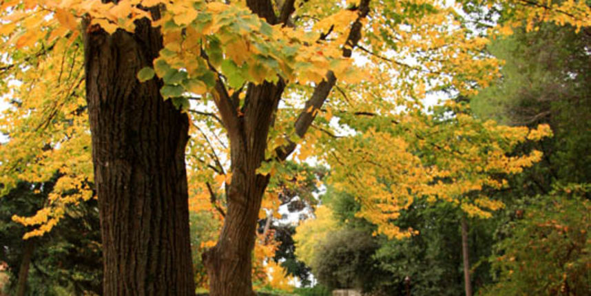 Jesen – priroda Jesen – priroda