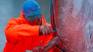 Zadar, 020112.
Tvrtka Kali Tuna bavi se izlovom i uzgojem tuna vec dugi niz godina.
Nakon uzgojnog ciklusa koji traje 30. mjesci slijedi izlov Tuna. Djelatnici Kali tune vrse izlov te ih prebacuju na drugi brod tvrtke iz Japana na kojem se vrsi daljnje pr Zadar, 020112.
Tvrtka Kali Tuna bavi se izlovom i uzgojem tuna vec dugi niz godina.
Nakon uzgojnog ciklusa koji traje 30. mjesci slijedi izlov Tuna. Djelatnici Kali tune vrse izlov te ih prebacuju na drugi brod tvrtke iz Japana na kojem se vrsi daljnje pr