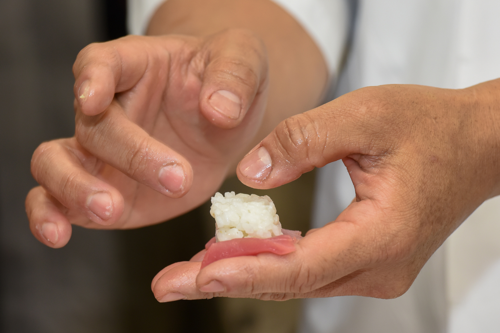 Tuna, sushi and wine radionica Tuna, sushi and wine radionica