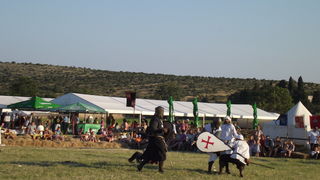 Dani vitezova vranskih, 19. srpnja 2014.