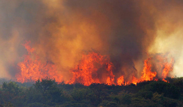 požar (foto: Marin Gospić)