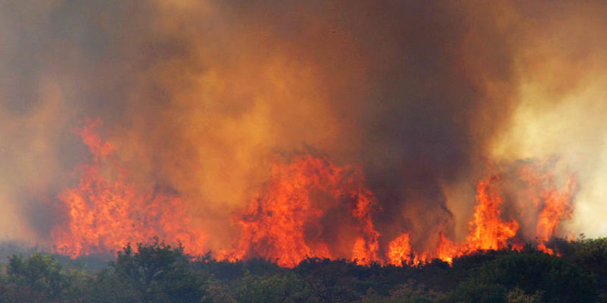 požar (foto: Marin Gospić) požar (foto: Marin Gospić)