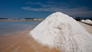 Solana Nin, berba soli, foto: Leo Banić