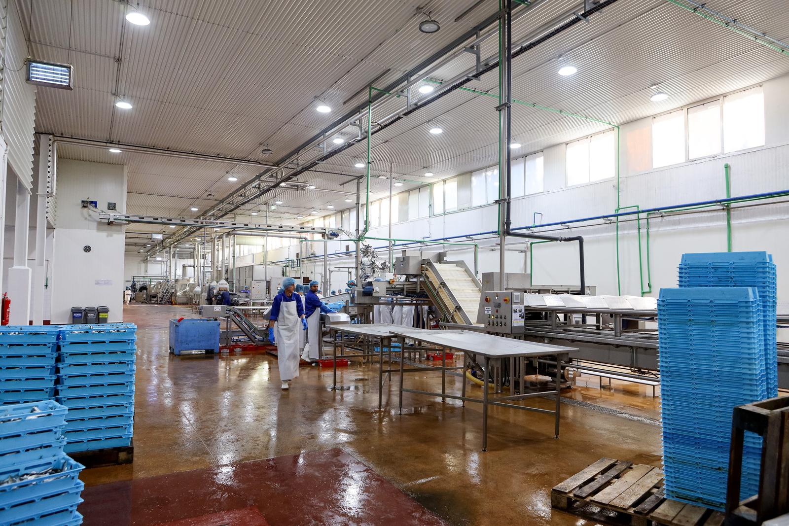 Predsjednik Milanović posjetio je tvrtku Mardešić u Salima