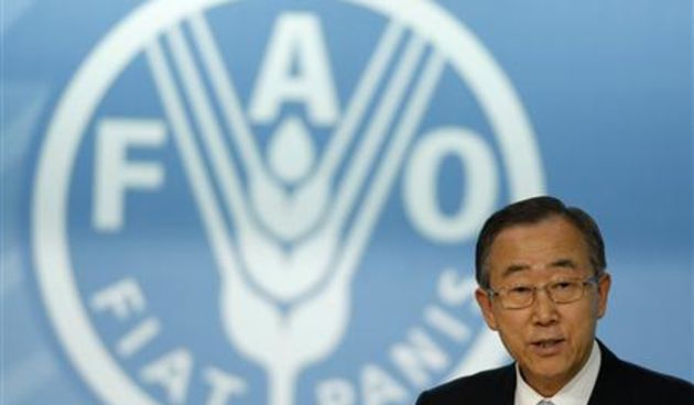 Ban Ki-moon – FAO summit Rim (Foto: Reuters)