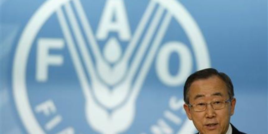 Ban Ki-moon – FAO summit Rim (Foto: Reuters)