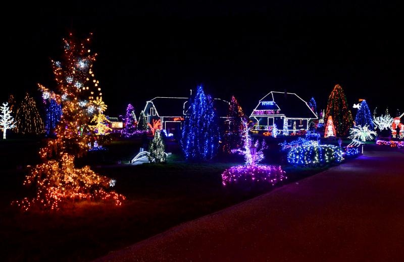 24.12.2014., Cazma, Grabovnica – Obitelj Salaj svoje imanje ukrasila je s milijun i petsto tisuca lampica povodom Bozicnih i Noogodisnjih blagdana. Bozicnu pricu svake godine posjecuju mnogobrojni turisti. Photo: Marko Prpic/PIXSELL