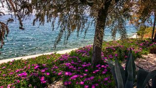 Nedjeljnja šetnja od Dikla do Pinije, Foto: Mladen Radolović Mrlja Nedjeljnja šetnja od Dikla do Pinije, Foto: Mladen Radolović Mrlja