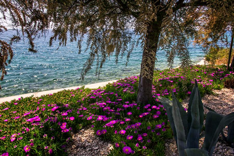 Nedjeljnja šetnja od Dikla do Pinije, Foto: Mladen Radolović Mrlja Nedjeljnja šetnja od Dikla do Pinije, Foto: Mladen Radolović Mrlja