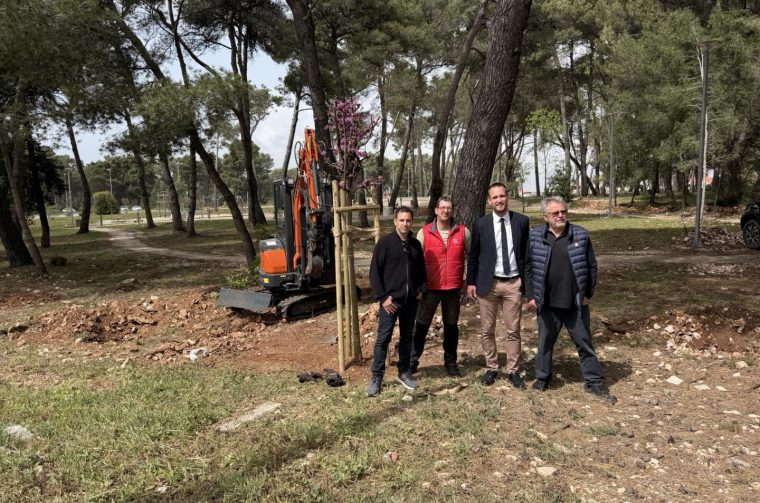 Novi zadarski park – započelo ozelenjivanje od Puta Bokanjca do Žmirića