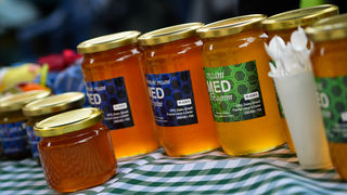 Narodni trg: Sajam udruga, foto: Marin Pitton Narodni trg: Sajam udruga, foto: Marin Pitton