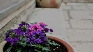 Đir p Rabu Đir p Rabu