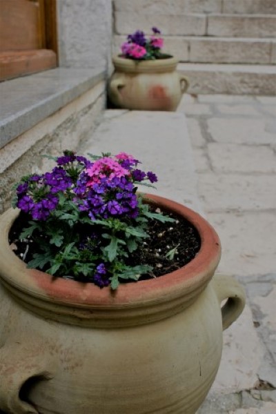 Đir p Rabu Đir p Rabu