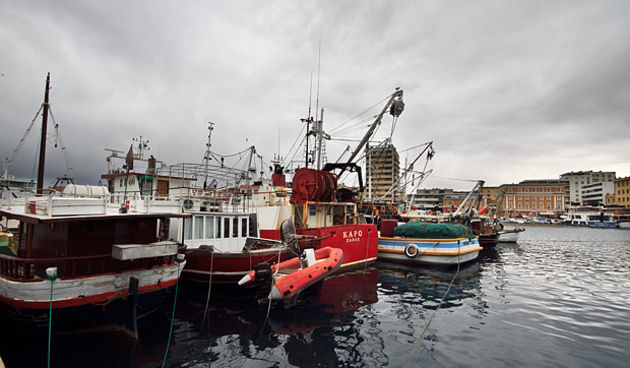 Ribarice u zadarskoj luci, Foto: Leo Banić