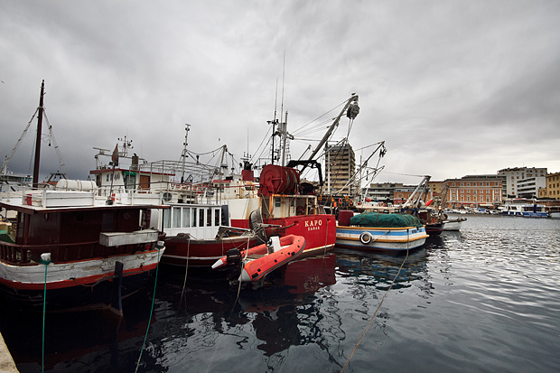 Ribarice u zadarskoj luci, Foto: Leo Banić