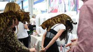 Međunarodna izložba mačaka