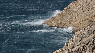 Image 1177835 (auto)