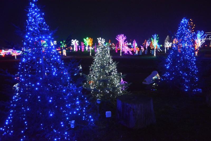 Božićna priča obitelji Salaj s rekordnih 1,88 milijuna lampica. Foto: Damir Špehar/PIXSELL