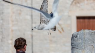 Sunčana nedjelja na zadarskim ulicama