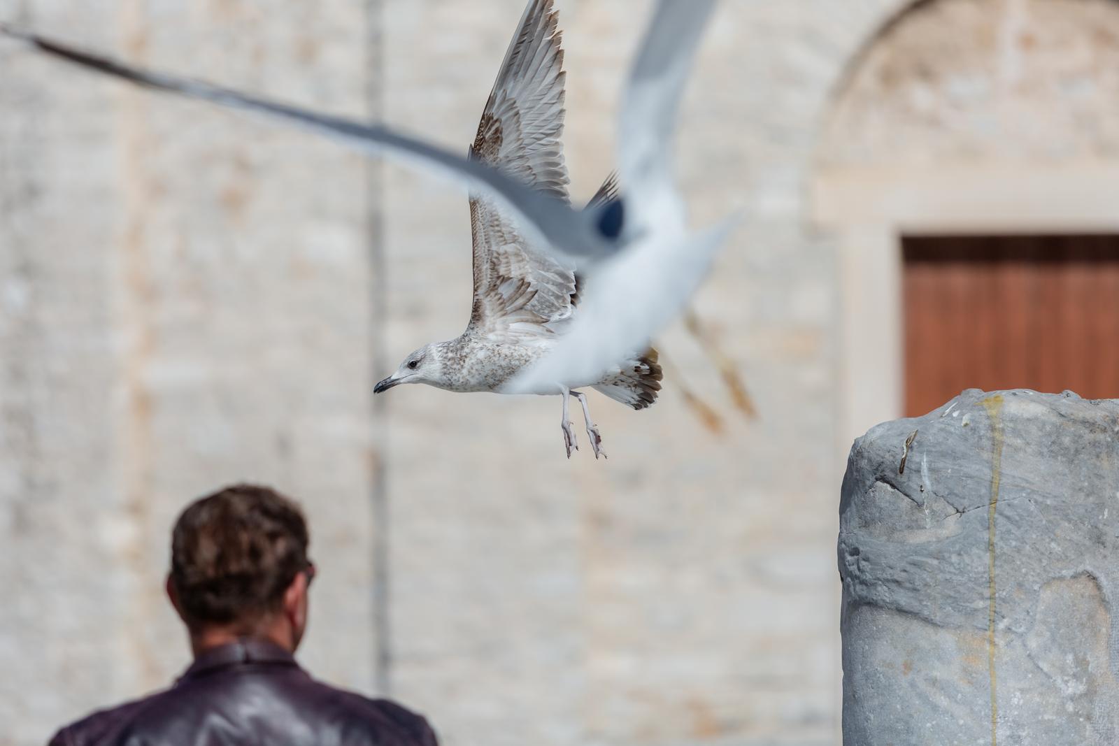 Sunčana nedjelja na zadarskim ulicama